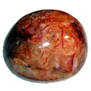 Buy Polished Carnelian Freeform Online